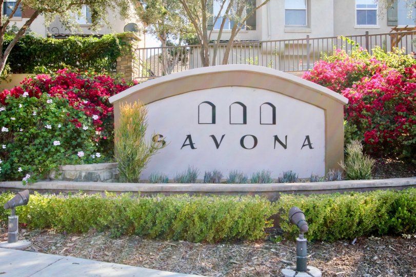 Savona San Marcos CA